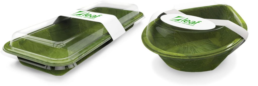 Leaf plates eco-friendly packaging