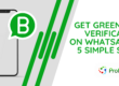 Get Green Tick Verification On WhatsApp In 5 Simple Steps